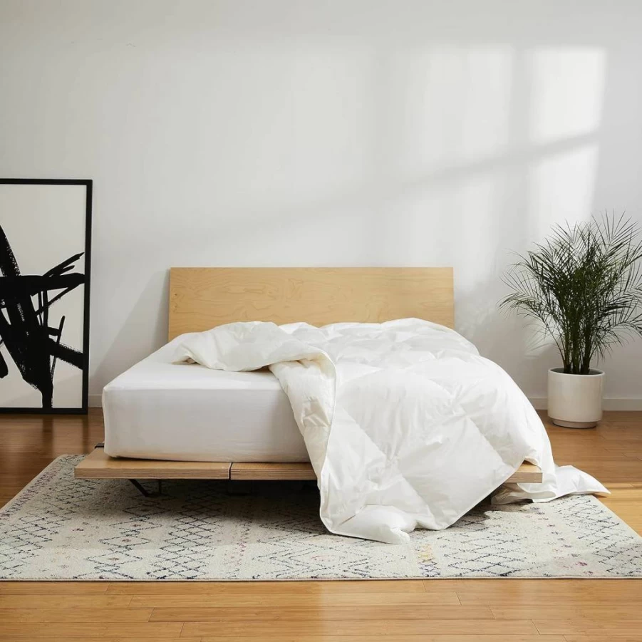 Brooklinen Full/Queen All-Season Down Comforter - 700 Fill Power Canadian Duck Down, 100% Cotton Baffle Box Duvet Insert